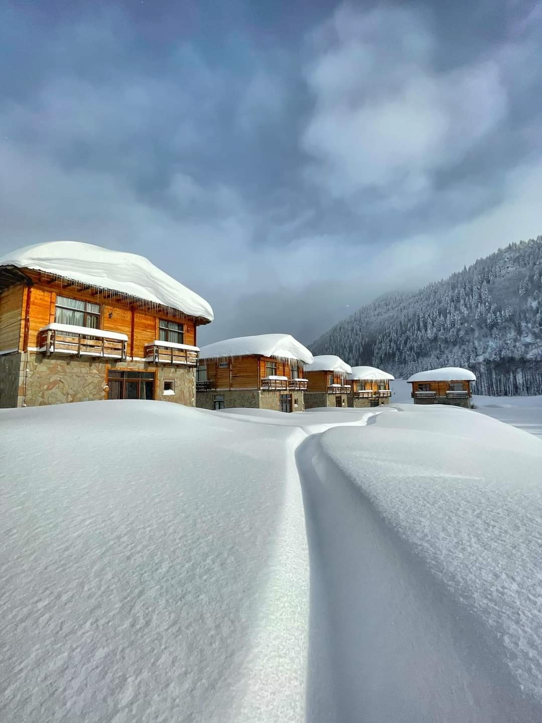 გომარდული