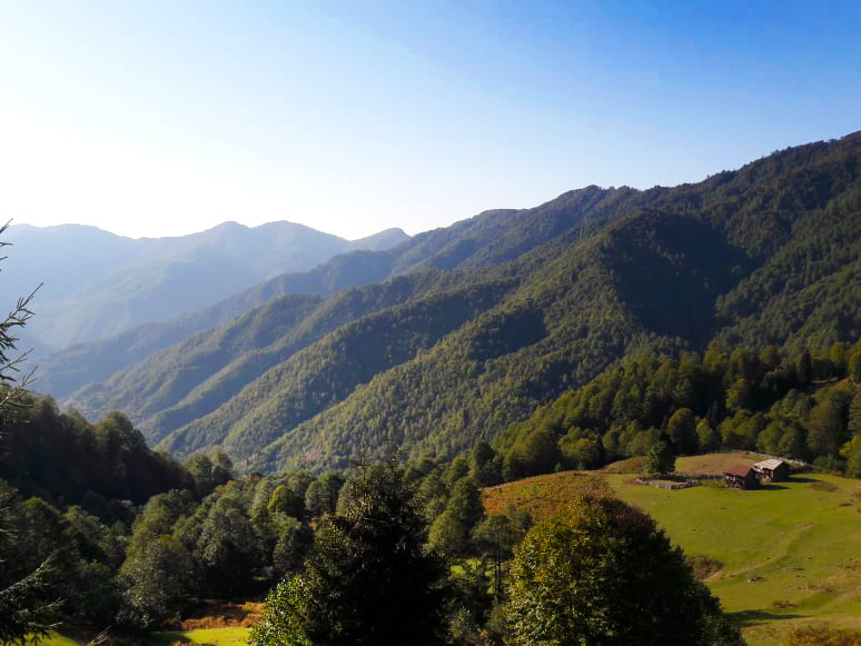 ლატევრას მთა